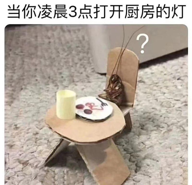 蟑螂