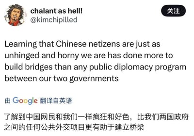 这是一张X（原Twitter）平台的社交媒体截图，用户@kimchipilled的头像是一位笑容满面的原创卡通男性，他发布了一条推文，英文原文为“Learning that Chinese netizens are just as unhinged and horny we are has done more to build bridges than any public diplomacy program between our two governments”，下方附带谷歌翻译的中文译文：“了解到中国网民和我们一样疯狂和好色，比我们两国政府之间的任何公共外交项目更有助于建立桥梁”。该推文以幽默调侃的语气指出，不同国家网民之间的共性，比官方的公共外交项目更能拉近民众间的距离，内容接地气，无特殊双关、谐音梗或暗示。