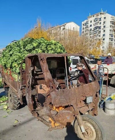 画面核心是一辆锈迹遍布、驾驶室严重破损变形的三轮货车，车厢里被新鲜翠绿的大白菜堆得满满当当。一位戴着格子帽子的男子坐在驾驶位上，似乎是准备售卖或刚完成运输。背景是几栋城市居民楼，树木叶子泛黄，显示出秋冬季节的特征，旁边还有其他商贩的车辆和人员，地面散落着少许菜叶，整体场景是在户外的街头集市，车辆的破旧不堪与新鲜饱满的大白菜形成强烈反差，充满了朴实的生活气息，展现了街头商贩的日常。