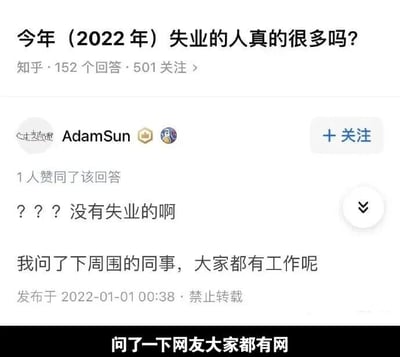 这是一张经过文字加注的社交媒体截图，主体内容来自知乎平台的问答页面：页面顶部是提问“今年（2022年）失业的人真的很多吗？”，该问题有152个回答、501个关注；用户AdamSun的回答显示获得1个赞同，内容为“？？？没有失业的啊 我问了下周围的同事，大家都有工作呢”，发布时间为2022年1月1日00:38，标注禁止转载。图片底部被添加了一行文字“问了一下网友大家都有网”，玩了谐音梗，将“有工作”的“工”谐音为“网”，以调侃的方式指出原回答的样本过于局限，仅询问身边同事无法代表整体就业情况，暗指该回答的参考性不足。