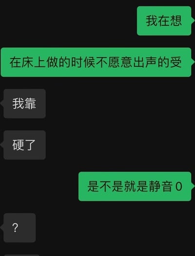 这是一张纯文字对话梗图，黑色背景上有绿色和灰色两种颜色的对话气泡。绿色气泡首先提出："我在想 在床上做的时候不愿意出声的受"，灰色气泡回应"我靠 硬了"，最后绿色气泡用谐音梗提问"是不是就是静音0"。

图片使用了双关和谐音梗，将性行为中的"不出声"与网络用语"静音0"（指男同性恋中被动且安静的一方）联系起来制造笑点。