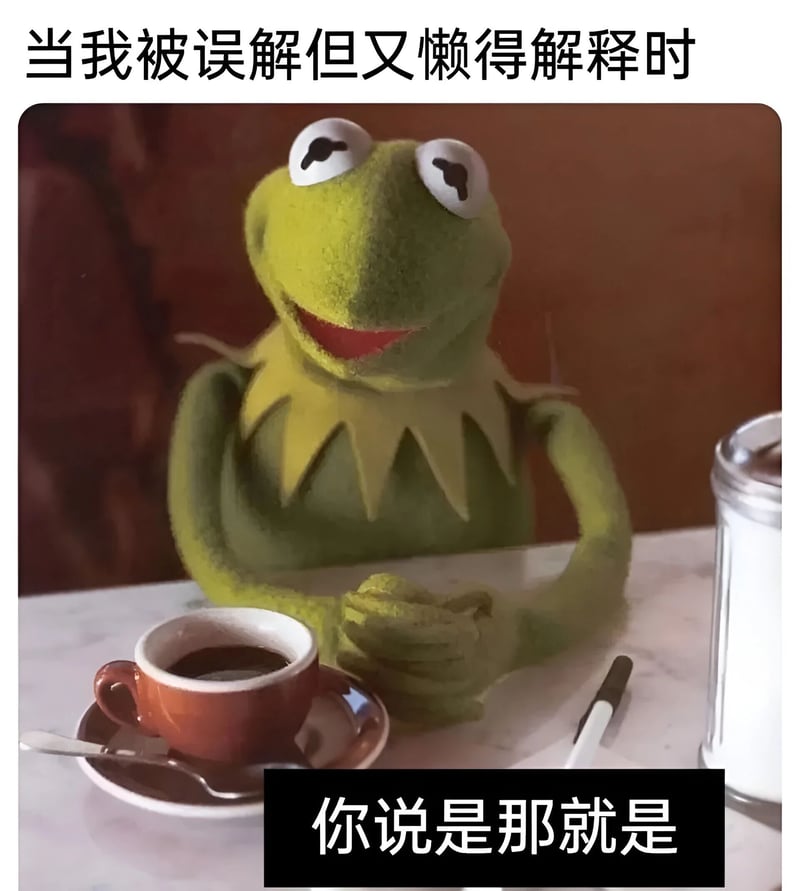 布偶秀