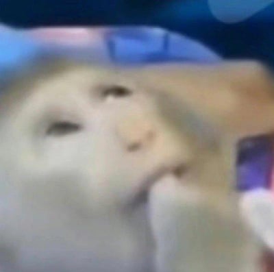 一张猫咪的特写照片，猫咪正仰头向上看，表情显得有些好奇。图片聚焦于猫咪的脸部，背景模糊，能看到猫咪的一只爪子靠近嘴巴。