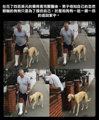 四格拼接图展示了一位腿部打着石膏、拄着拐杖的男子和他的灵缇犬。男子一瘸一拐地走路，而狗狗也模仿着相同的姿势一起行走。图片上方配有文字说明整个搞笑情景：男子花了400美元带突然瘸腿的狗狗看兽医，结果发现狗狗只是在模仿自己走路，最后两人就这样一起瘸着回家。