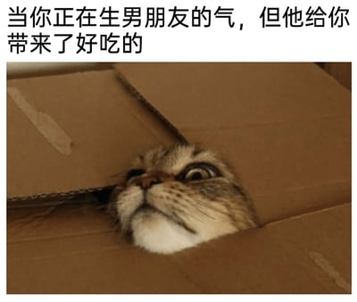 这是一张贴合情侣日常的搞笑表情包，图片上方配有文字“当你正在生男朋友的气，但他给你带来了好吃的”，下方主体是一只从纸箱缝隙中钻出脑袋的狸花猫咪，猫咪眼睛瞪大，表情看起来既气鼓鼓带着情绪，又有着明显的动摇与纠结，精准拟人化了女生在生男友气时，被对方带来的美食击中、内心开始动摇的口是心非状态，生动还原了情侣相处中这种可爱又真实的小瞬间，容易引发情侣群体的共鸣，适合在社交聊天中用来表达自己这种纠结的心情。