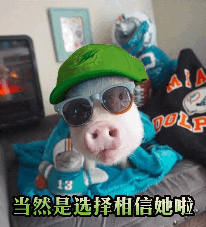 戴墨镜绿帽的社会猪：当然是选择相信她啦