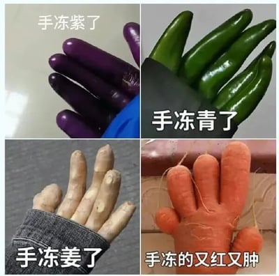 该图为四宫格拼接图，每格均以蔬菜模拟冬天冻僵的手，并配有对应文字。左上格：紫色茄子排列成手指形状，配文“手冻紫了”；右上格：绿色青椒组成手掌造型，配文“手冻青了”；左下格：生姜块模拟手指，配文“手冻姜了”；右下格：胡萝卜拼接成红肿的手，配文“手冻的又红又肿”。图中运用谐音梗和视觉联想，“冻姜”谐音“冻僵”，通过蔬菜颜色和形态幽默表现冬季手部受冻的状态。