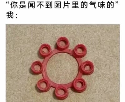 这是一张图文混排的静态梗图，上方以旁白文字提出“你是闻不到图片里的气味的”，随后以“我：”引出下方的红色自行车气门芯胶圈图片。该胶圈是老式自行车的配件，带有浓烈且辨识度极高的橡胶气味，不少人对这个气味有着深刻的生活记忆，看到这个物品的图片时会下意识联想到它的气味，仿佛真实闻到一般，以此调侃式地打破了“图片里的气味无法被感知”的说法，利用大众熟悉的老物件气味制造情感共鸣，引发网友对相关生活经历的回忆。