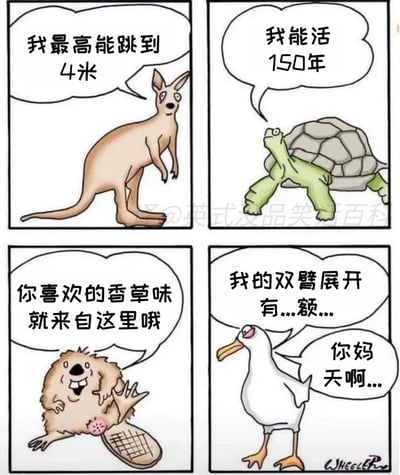 这是一幅四格冷笑话连环漫画，依次展示了四种动物的“炫耀”场景：第一格中，袋鼠得意地宣称自己最高能跳到4米；第二格，乌龟骄傲地表示自己的寿命可达150年；第三格，海狸坏笑着抬起腿，透露大家喜爱的香草味其实来源于自己的香腺部位（这是一个重口味冷知识，海狸香腺分泌的物质可作为香草风味的原料）；第四格，鸭子原本想要炫耀自己的臂展，结果看到海狸的操作后，瞬间被震惊到，话到嘴边变成了充满错愕的感叹。漫画通过动物们的炫耀行为，用海狸的冷知识制造反差笑点，最后鸭子的反应将无厘头的喜剧效果拉满。
