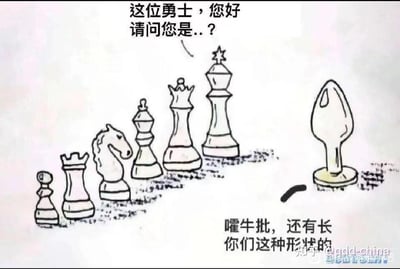一张手绘风格的搞笑梗图，描绘了一组标准国际象棋棋子与一个形状奇特（类似男性生殖器）的棋子之间的对话。左侧是正常的国际象棋棋子队列（卒、车、马、象、后、王），右侧是一个形状怪异的棋子。上方的传统棋子向奇特棋子发问："这位勇士，您好 请问您是..？"，而奇特棋子则回应："嚯牛批，还有长你们这种形状的"。图片通过形状对比和幽默对话制造笑点。