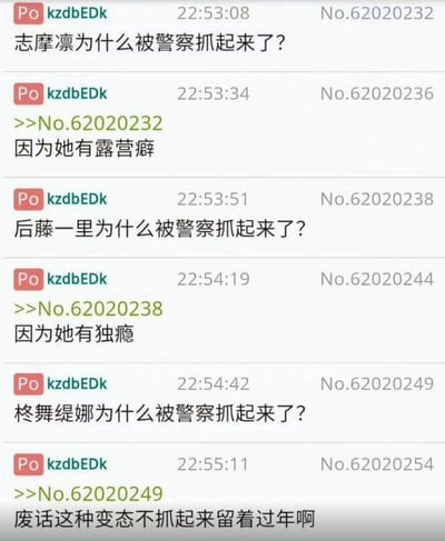这是一段匿名论坛用户自导自演的ACG相关冷笑话对话，通过谐音梗和角色设定吐槽制造笑点：
1. 志摩凛出自《摇曳露营△》，用“露营癖”谐音“露阴癖”的低俗双关梗，解释其被抓的原因；
2. 后藤一里出自《孤独摇滚！》，用“独瘾”谐音“毒瘾”的双关梗玩梗；
3. 柊舞缇娜出自《蔚蓝档案》，因角色设定为喜欢偷拍的变态，直接吐槽“这种变态不抓起来留着过年啊”，形成反差搞笑效果，整体是ACG爱好者的玩梗内容。