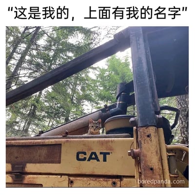 这是一张充满趣味的户外实拍静态照片，场景位于树林中，画面主体是一只狸花猫趴在卡特彼勒（CAT）品牌的工程车机械部件后方，仅露出头部和上半身，神情认真地看向镜头。图片上方配有中文文字“这是我的，上面有我的名字”，巧妙利用了“CAT”既是该工程车的品牌标识，又是英文里“猫（cat）”的拼写这一谐音梗，将猫咪拟人化，营造出猫咪把工程车当作自己专属物品的幽默效果，让人忍俊不禁。