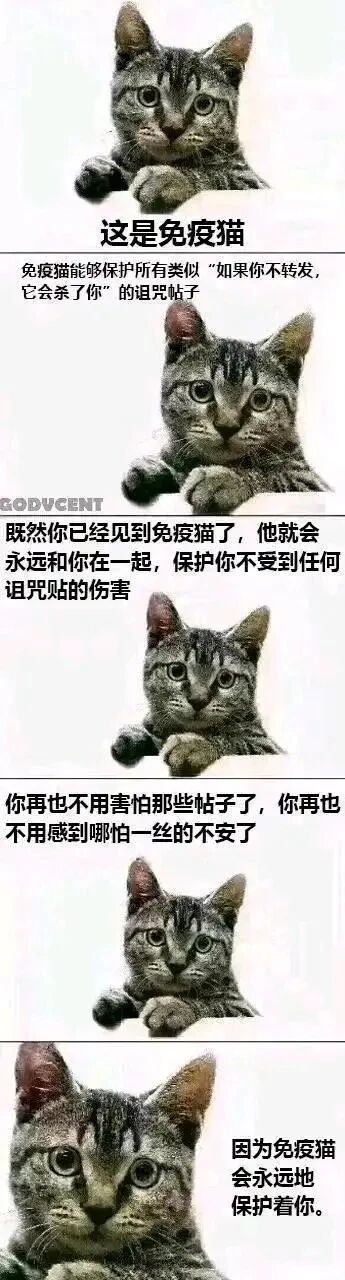 这是一张多图拼接的连环图文混排图，由五张相同的灰虎斑猫咪图片从上到下依次排列，每张图片搭配对应的文字，构建出“免疫猫”的趣味设定。第一张图文字介绍“这是免疫猫”，并说明它能抵御类似“不转发就会遭遇不幸”的诅咒式帖子；第二张图文字表示只要见到这只免疫猫，它就会一直陪伴并保护观看者不受任何诅咒帖的伤害；第三张图文字安抚观看者不用再因这类帖子感到害怕和不安；第四、五张图再次强调免疫猫会永远提供保护。猫咪表情温顺平静，前爪搭在平面上看向镜头，整体内容以可爱的猫咪形象为载体，调侃网络上令人反感的诅咒式转发帖，用趣味的方式消解这类帖子带来的焦虑，给观看者提供一种虚拟的心理安慰。