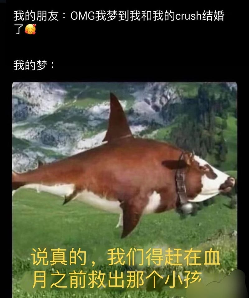 网络恶搞合成素材