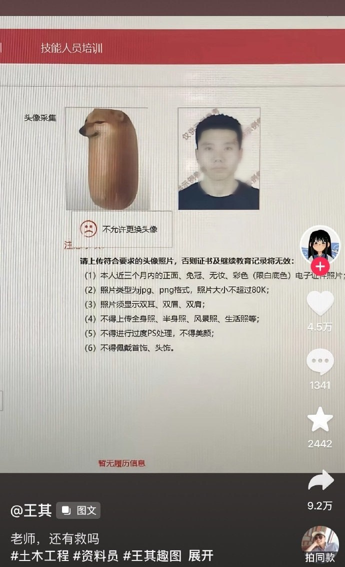 互联网柴犬表情包