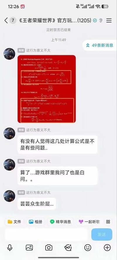 这是一张竖版的QQ群聊天界面截图，所属群聊为《王者荣耀世界》相关官方群，群内共有1205名成员。群内一名头衔为青铜、昵称为“这行为意义不大”的用户，首先发送了一张红色背景、写满热力学、量子力学、化学等多领域复杂专业计算公式的图片，随后接连发送三条文字消息，先是询问群友图中的计算公式是否存在问题，接着自嘲在游戏群里提问这类学术相关的问题没有意义、问了也白问，最后发出“芸芸众生阶层...”的未说完的感慨。界面顶部显示当前还有49条未读新消息，底部是QQ群的功能操作栏，包含文件、相册、精华消息、发送按钮等常规QQ群功能入口。