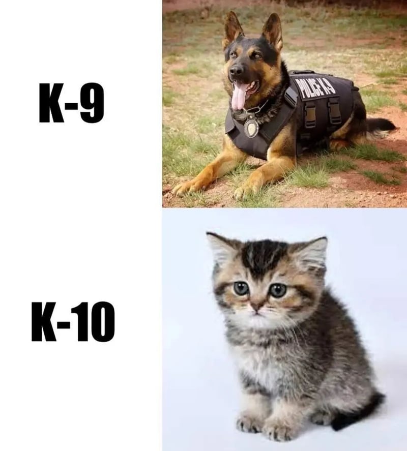 警用工作犬