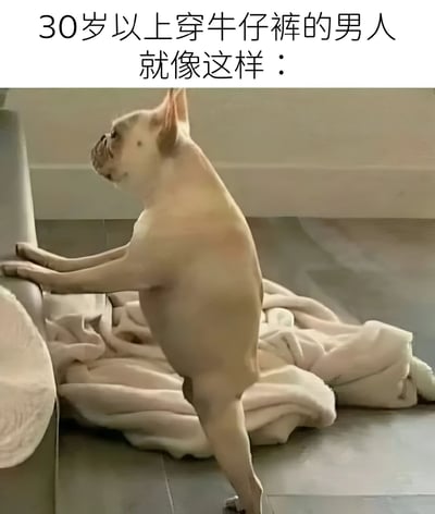 图片上方配有文字“30岁以上穿牛仔裤的男人就像这样：”，下方是一只法国斗牛犬后腿站立、前爪搭在沙发扶手上的照片。狗狗身体呈现出略显臃肿的姿态，通过拟人化的方式幽默调侃30岁以上男性穿牛仔裤可能出现的尴尬体态。