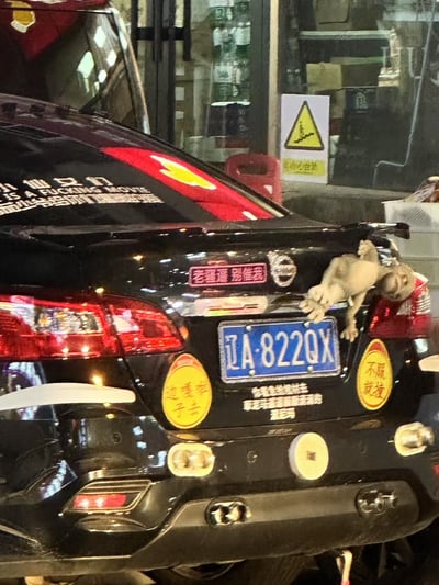 一张黑色日产汽车的尾部照片，车牌号为辽A·822QX。车尾贴有多个个性车贴，包括中文的"老霸道 别催我"、"边凌车 干过去"、"不服 就撞"以及英文的"THIS IS A FUCKING MOVE"。车尾还挂着一个小玩偶装饰，背景显示车辆停在一家商店门口，店内有各种物品。