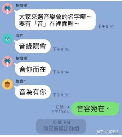 这个梗图来自一个群聊截图，大家正在给音乐会取名字，要求名字里需要有“音”字。之前有人提议了“音缘际会”、“音你而在”、“音为有你”等比较正面的群名字，而有一位成员却突然发了“音容宛在”。这四字常用于悼念逝去的人，结果此人随后被群管理员踢出了群。场景极具反差，幽默感来源于“音容宛在”这个词语不合群聊语境，同时形成了文字与实际操作的双关和黑色幽默。

*“音容宛在”常用于悼念，和群命名的轻松气氛形成强烈反差，是本图的笑点所属。*
