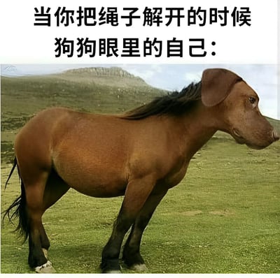 图片上方有黑色文字'当你把绳子解开的时候 狗狗眼里的自己：'，下方为一张合成图像，主体是棕色马的身体与狗的头部组合而成的虚构生物，站立在绿色草地上，背景有模糊山脉。通过这种荒诞的形象对比，幽默展现了狗狗被解开绳子后可能产生的'威风凛凛'的自我认知想象。