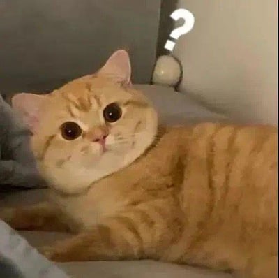 一只橘色的猫咪躺在床上，眼睛睁得很大，表情看起来有些困惑。猫咪头顶上方有一个白色的问号符号，增强了疑惑的情绪。图片整体给人一种可爱又搞笑的感觉，常被用来表达困惑或疑问的情绪。