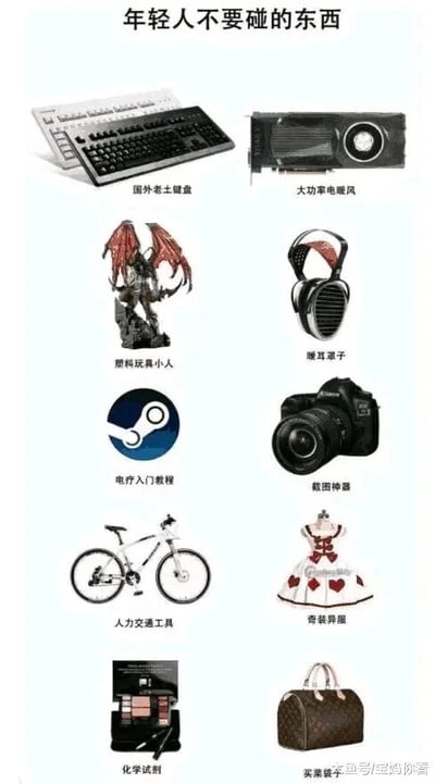 这是一张采用图文混排形式的趣味梗图，顶部标题为“年轻人不要碰的东西”，下方以5行2列的布局展示了10种物品，并给每个物品配上了极具反差感的调侃式标注，实际对应着年轻人中那些花费高昂的爱好：将烧钱的客制化键盘称为“国外老土键盘”，将高端电脑显卡调侃为“大功率电吹风”，把昂贵的手办模型叫做“塑料玩具小人”，高端头戴式耳机被标注为“暖耳罩子”，Steam游戏平台（因购买游戏花费高且易沉迷被调侃为“电疗”）标注为“电疗入门教程”，专业单反相机被戏称为“截图神器”，高端公路自行车叫做“人力交通工具”，Lolita洋装被调侃为“奇装异服”，化妆品彩妆套装标注为“化学试剂”，奢侈品手提包则被戏称为“买菜袋子”。通过这种接地气的调侃名字和实际高消费爱好的反差，来吐槽这些爱好极其烧钱，提醒年轻人谨慎入坑，充满趣味和共鸣感。