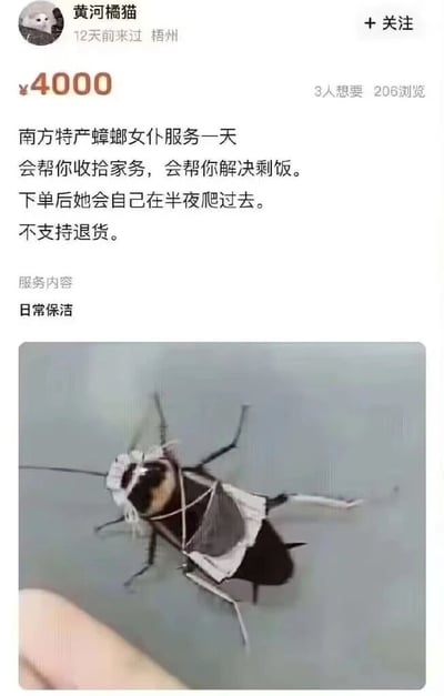 这是一张社交媒体截图，展示了一个幽默搞笑的服务 listing。标题为"南方特产蟑螂女仆服务一天"，定价4000元。内容描述该服务会帮忙收拾家务、解决剩饭，下单后会在半夜自己爬过去，且不支持退货。配图是一只被P上女仆装的蟑螂图片，整体采用夸张幽默的方式调侃南方蟑螂的特点。