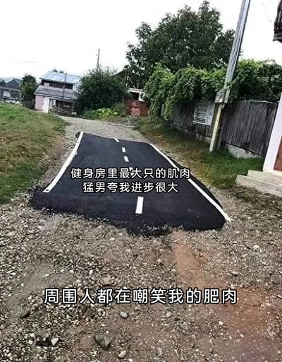 这是一张利用视觉错位效果创作的搞笑网络梗图。画面主体是一段乡村碎石路，路中间有一块凸起的新铺沥青路面，被画上了模拟正规道路的白色标线，从视觉角度看，这块凸起的路面酷似一块鼓起的肌肉或是赘肉。图中搭配了两段文字，上方文字为“健身房里最大只的肌肉猛男夸我进步很大”，下方文字为“周围人都在嘲笑我的肥肉”，通过视觉错位的路面，幽默地比喻健身人群在不同视角下的评价反差——专业健身者看到的是健身进步的“肌肉”，普通人看到的是尚未消除的“肥肉”，用荒诞的画面调侃健身过程中的尴尬与趣味。