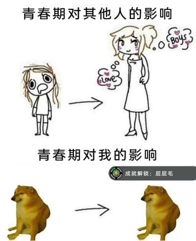 这是一张采用上下对比形式的搞笑网络梗图，通过强烈反差制造幽默效果。上半部分标题为“青春期对其他人的影响”，呈现了一个原本形象邋遢、神情呆滞的女孩，在经历青春期后变得外形精致、神态娇羞，脑海中浮现“love”和“Boys”的想法，是大众认知里青春期女孩的典型成长蜕变；下半部分标题为“青春期对我的影响”，使用两张几乎完全相同的Cheems柴犬图，搭配模仿Xbox游戏成就系统的提示文字“成就解锁：屁屁毛”，以自嘲的方式调侃自己的青春期没有光鲜的变化，只有尴尬又无厘头的细微身体变化，与上半部分的美好蜕变形成鲜明反差，精准戳中部分人对自己青春期的调侃心态。