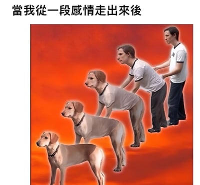 圖片上方有文字「當我從一段感情走出來後」，下方是橙色漸變背景下的轉變序列：從左到右依次為一隻正常的狗、狗頭人身的形象、人頭狗身的形象，最後是兩個站立的人類。整體通過動物到人的形態演變，幽默地表達了從感情中恢復後逐漸變得獨立、穩定的過程。