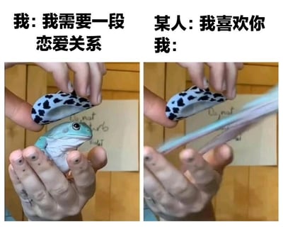 该图为左右对比的双 panel 图文梗图，左侧画面中一只手托着一只蓝绿色青蛙，上方文字为“我: 我需要一段恋爱关系”，青蛙头部被一个蓝黑斑点小帽子覆盖；右侧画面中同一只手正掀起帽子，下方青蛙被一部手机遮挡，上方文字为“某人: 我喜欢你 我:”。通过青蛙从被期待（需要恋爱）到被回避（用手机遮挡）的场景变化，幽默展现了人们渴望恋爱却在面对表白时逃避的矛盾心理。