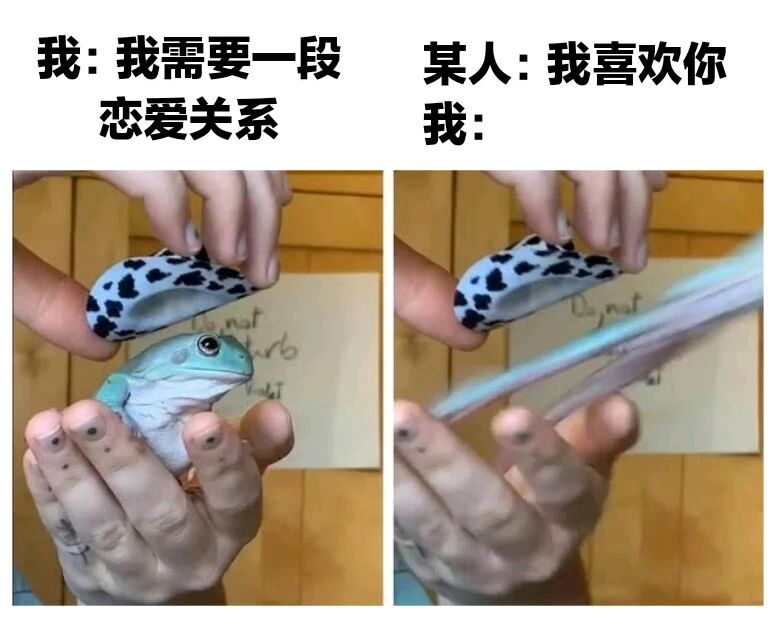 青蛙