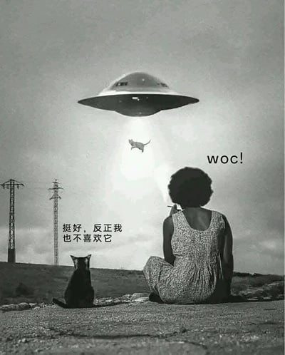 这是一张经过趣味改编的黑白静态P图，画面背景是带有输电塔的开阔户外场景，空中的UFO正发出光束将一只猫咪吸起；背对着镜头的女性坐在地上，嘴里叼着烟，看到这一幕配文“woc!”，传递出震惊的情绪；而她身旁坐着的另一只猫则配文“挺好，反正我也不喜欢它”，以冷漠淡定的态度和主人的震惊形成强烈反差，制造出荒诞搞笑的喜剧效果，整体用夸张的外星掳掠设定来调侃同伴间的“塑料情谊”。