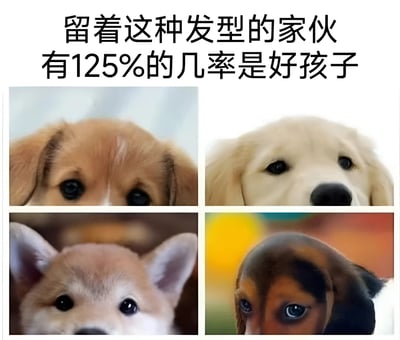 图片为2x2网格排列的四张狗狗特写照片，每张照片中的狗狗都有着蓬松圆润的发型，眼神无辜清澈。上方配有文字“留着这种发型的家伙有125%的几率是好孩子”，通过夸张的125%概率制造幽默效果，整体风格可爱治愈，旨在表达特定发型的狗狗给人乖巧听话的印象。