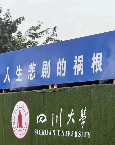 这张图片拍摄于四川大学的一处工地围挡区域，上方蓝色标语牌因被遮挡仅露出后半段文字「人生悲剧的祸根」，下方则是带有四川大学官方标识与中英文校名的绿色围挡。通过视觉错位，原本完整的劝诫类标语被截断后产生了强烈歧义，形成了调侃四川大学的搞笑效果，实际完整标语应为类似「懒惰是人生悲剧的祸根」这类正向内容，仅因拍摄角度和遮挡意外成为网络梗图。