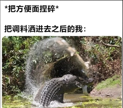 图片上方配有文字“*把方便面捏碎* 把调料洒进去之后的我：”，下方是一张鳄鱼在水中猛烈甩动猎物的野生动物照片。通过夸张的对比，幽默地表现了人们在捏碎方便面并撒入调料后那种难以抑制的兴奋和“野性”，将日常小事用极具冲击力的动物行为画面具象化，充满搞笑效果。
