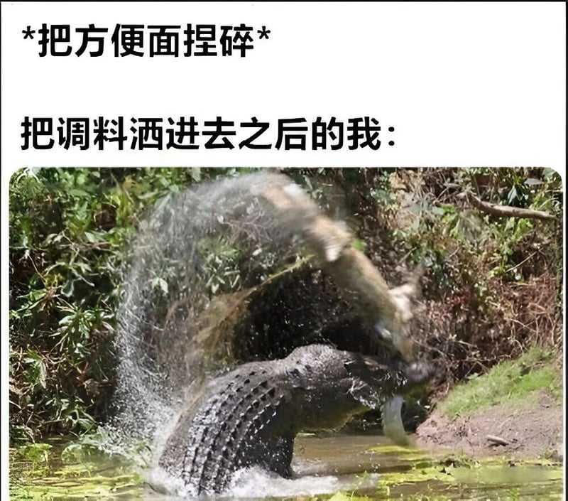 鳄鱼