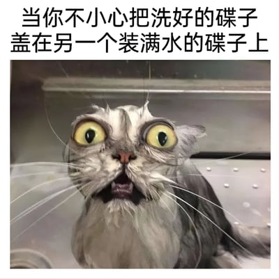 这是一张幽默梗图，上方配有文字“当你不小心把洗好的碟子盖在另一个装满水的碟子上”，下方是一只表情极度震惊的猫的特写照片。猫咪瞪大双眼、嘴巴微张，夸张的表情生动地表现出人们遇到这种生活小意外时的惊讶反应。