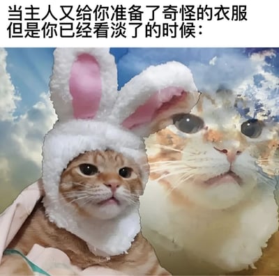 图片上方有文字'当主人又给你准备了奇怪的衣服但是你已经看淡了的时候：'，下方左侧是一只戴着白色兔子耳朵帽子的橘猫，表情平静；右侧是一幅猫咪脸部的艺术化处理图像，同样带着淡漠的神情。整体通过猫咪的表情对比，幽默地展现了宠物对主人打扮行为的无奈接受。