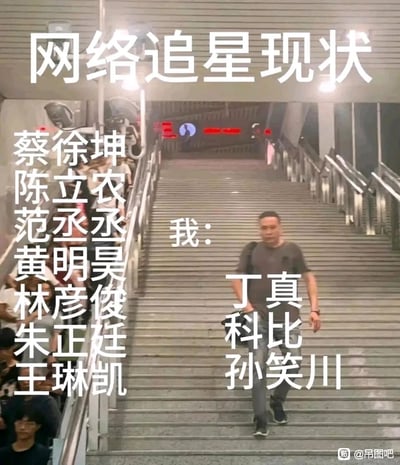 这张梗图以地铁内拥挤的扶梯和空旷的楼梯为场景，生动呈现“网络追星现状”：左侧扶梯上标注了蔡徐坤、陈立农、范丞丞等当下热门的流量偶像，代表了网络中主流的追星选择；而独自走在楼梯上的“我”，对应的则是丁真、科比、孙笑川这类和主流流量偶像风格、受众都有差异的人物，通过场景的强烈反差，调侃了部分网友和主流不同的追星偏好，用幽默的方式展现了追星审美的多样性。