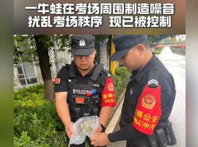 这是一张充满反差感的实拍趣味图：高考期间，云南曲靖麒麟公安的护考民警，为了保障考场安静，将一只在考场周边持续鸣叫、干扰考生的牛蛙“正式控制”，用塑料袋将其装起，民警们一脸严肃地查看这只“特殊嫌疑人”。图上方配文用警务通报式的正式语气描述这件事，严肃的执法场景和搞笑的“执法对象”形成强烈反差，既体现了护考工作的细致入微，也让人忍俊不禁，成为高考期间的趣味话题。