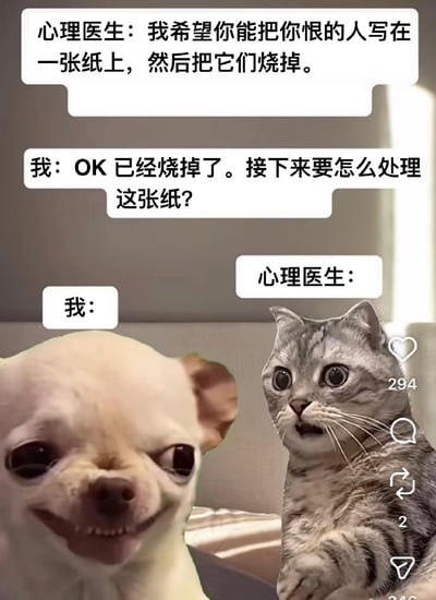 图片展示了一段幽默对话：心理医生建议将恨的人写在纸上烧掉以释放情绪，而“我”却直接烧掉了纸，留下心理医生一脸震惊。左侧是表情狡黠的吉娃娃代表“我”，右侧是瞪大眼睛的虎斑猫代表心理医生，对话气泡配合动物表情形成搞笑效果。