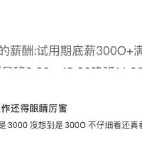 这是一张纯文字吐槽图，内容围绕职场试用期展开：文字提及试用期底薪为3000元，还附带对工作要求的吐槽“作还得眼睛厉害”，同时表达了看到薪资时的意外情绪“是3000 没想到是3000 不仔细看还真”，整体传递出打工人对试用期薪资与工作要求不对等的无奈与不满。