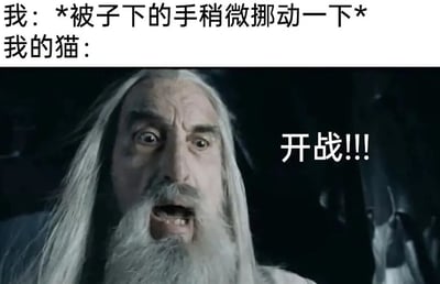 这是一张趣味改编的搞笑梗图，采用图文混排的形式，上方分为两段配文：第一段以‘我’为视角，描述‘*被子下的手稍微挪动一下*’的轻微动作；第二段引出‘我的猫：’，下方搭配《指环王》中萨鲁曼情绪激动的影视截图，截图右侧加注‘开战!!!’的文字。整张图用影视角色夸张的激动反应，来调侃猫咪对主人小动作的敏感反应，生动展现了养猫时主人轻微动作就会引发猫咪互动‘开战’的有趣日常，充满生活化的笑点，能引发养猫人群的共鸣。