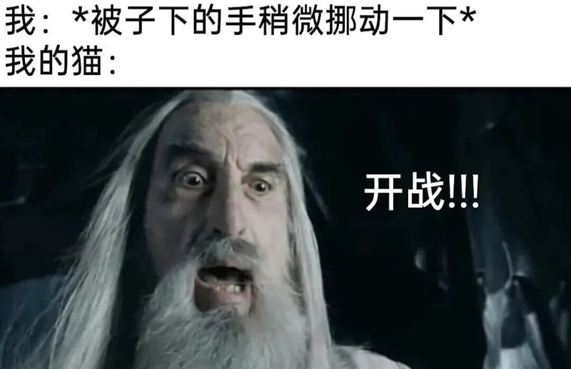《指环王》系列影视作品