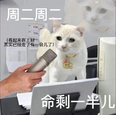 这是一张聚焦职场人周二上班状态的搞笑梗图，画面中一只表情呆滞、眼神无神的白猫被置于办公桌前，一只手拿着麦克风对它进行“采访”，搭配文字“周二周二 命剩一半儿”以及“(看起来在上班其实已经走了有一会儿了)”，精准刻画了打工人在周二工作日中段，身体停留在工位但精神早已“摸鱼出走”的疲惫倦怠心态，用拟人化的方式调侃职场人的工作日倦怠感，引发职场群体的强烈共鸣。
