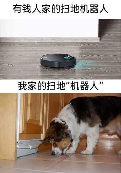 这是一张上下对比的搞笑梗图，上图展示了有钱人家正常的扫地机器人正在清洁地面，机器人在地板上进行清扫作业，地面上有清洁过的痕迹；下图则标注为“我家的扫地‘机器人’”，实际是一只黑白棕三色的狗狗，正低头专注地用舌头舔舐地面，模仿扫地机器人的清洁动作，用双引号标注“机器人”来制造强烈反差，自嘲没有真正的扫地机器人，用宠物的日常行为调侃自己的生活与富裕家庭的差距，充满幽默搞笑的氛围，容易引发普通网友的共鸣。