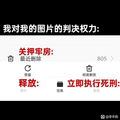 这张图是手机相册的「最近删除」页面截图，创作者用司法判决的拟人化视角对相册操作进行趣味解读：将存放待处理图片的「最近删除」文件夹称为「关押牢房」，其中有805张图片；把将图片恢复回相册的「恢复」操作标注为「释放」，把永久删除图片的「彻底删除」操作标注为「立即执行死刑」，用生动的调侃方式赋予了普通的相册操作趣味性，让用户对图片管理的权限变得更有画面感。