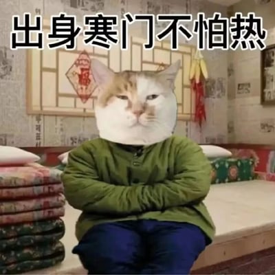这是一张经过P图改编的搞笑静态表情包，将网红猫咪的脸与穿着绿色老式棉袄、端坐在东北土炕上的人物身体合成在一起。背景是充满乡村风格的土炕，旁边堆叠着花布被子，墙上贴着福字，还挂着玉米辣椒串，充满接地气的生活气息。图片顶部配文“出身寒门不怕热”，以自嘲的幽默方式，表达即便在炎热天气里也能“扛住”的调侃态度，整体风格搞笑接地气，适合在夏日或者需要自嘲时使用。